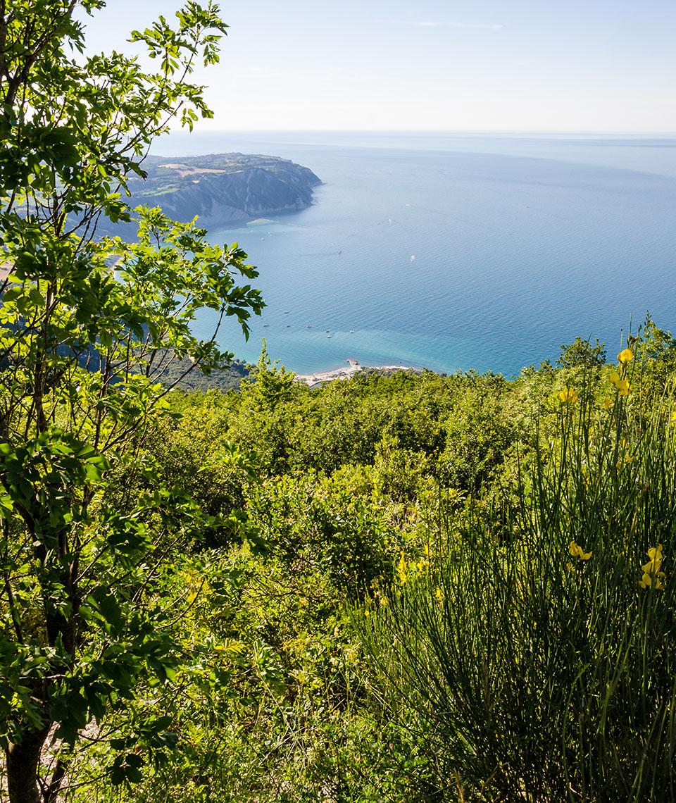 Il Parco del Conero